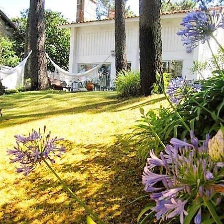 Cabedelo Beach House Виана до Кастело Екстериор снимка