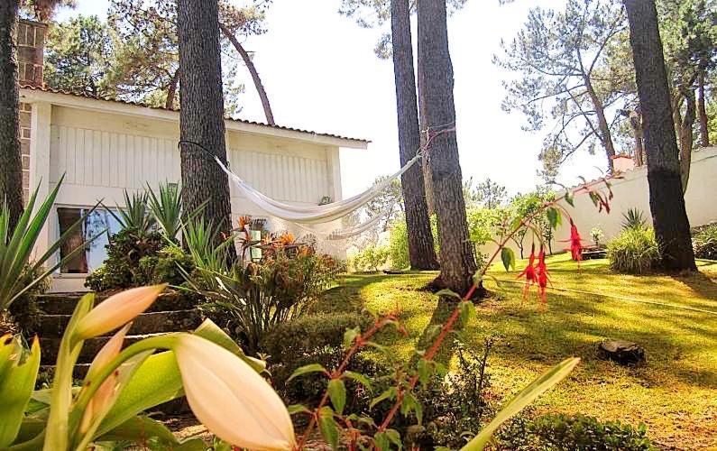 Cabedelo Beach House Виана до Кастело Екстериор снимка
